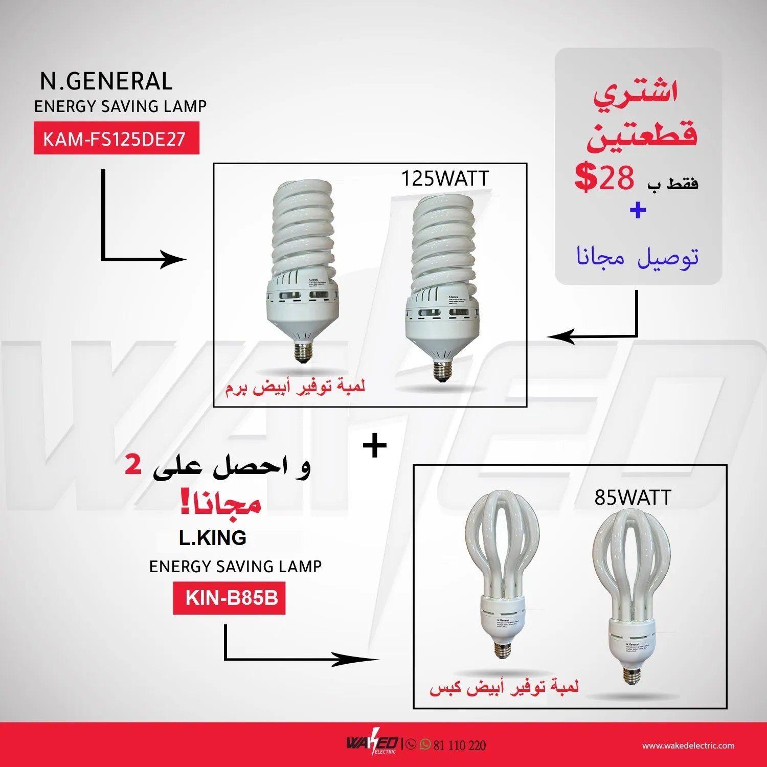 ENERGY SAVING LAMP 125W - ENERGY SAVING LAMP 85W